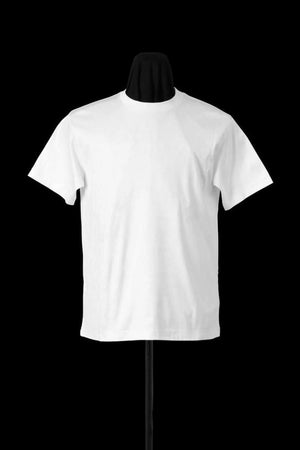 THE LINE 100% SUPIMA COTTON SMOOTH CREW NECK S/S